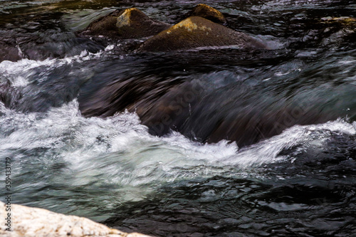 flowing river having rocks in the river