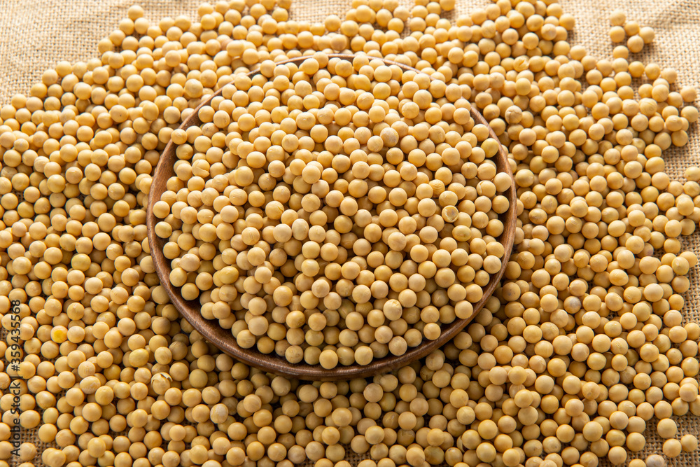 Obraz premium A lot of nutritious soybeans