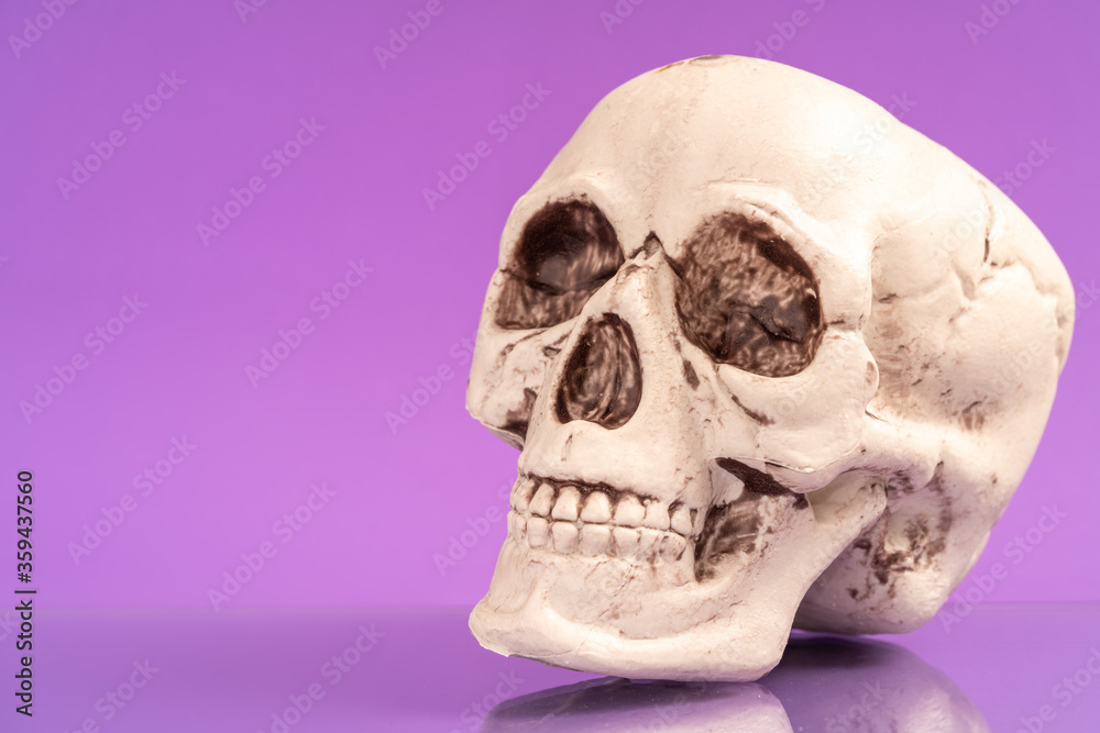 Artificial human skull on a colored background. Artificial human skull on a colored background.