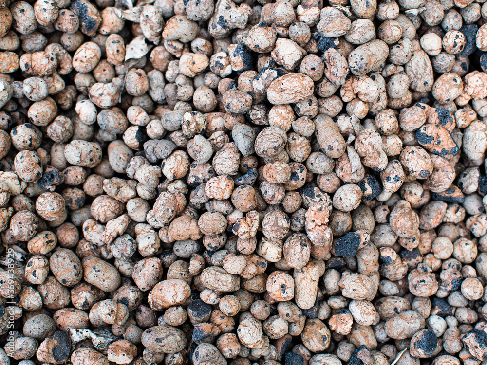 the texture of expanded clay. the crust under the plant. artificial material the texture of expanded clay. the crust under the plant. artificial material