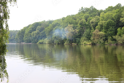  Trees are reflected in the lake water on a sunny summer day.