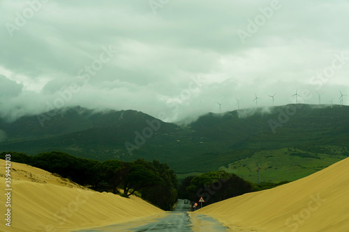 Fototapeta Naklejka Na Ścianę i Meble -  Road through sand dunes near Punta Paloma beach. Tarifa, Cadiz Province, Andalusia, southern Spain, Europa.