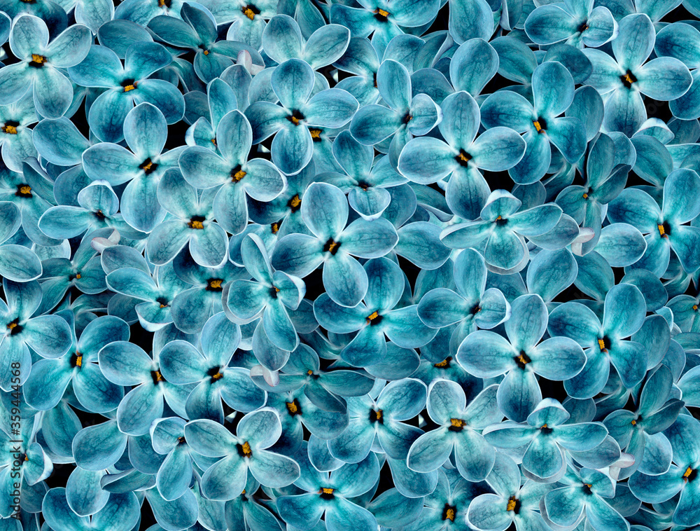 Floral turquoise background. A bouquet of lilac flowers. Close-up. floral collage. Flower composition. Nature. Floral turquoise background. A bouquet of lilac flowers. Close-up. floral collage. Flower composition. Nature.