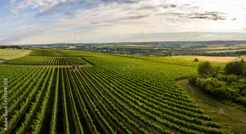 Aerial / Drone panorama of vineyard and agricultural fields in Rheinhessen Germany close to Nieder-Olm