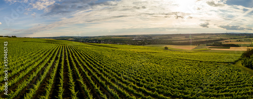 Aerial / Drone panorama of vineyard and agricultural fields in Rheinhessen Germany close to Nieder-Olm with setting sun photo