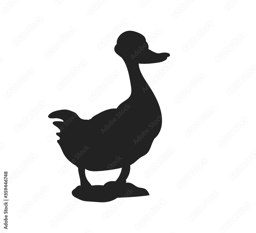 vector illustration of a bird, drawing silhouette, vector vector illustration of a bird, drawing silhouette, vector