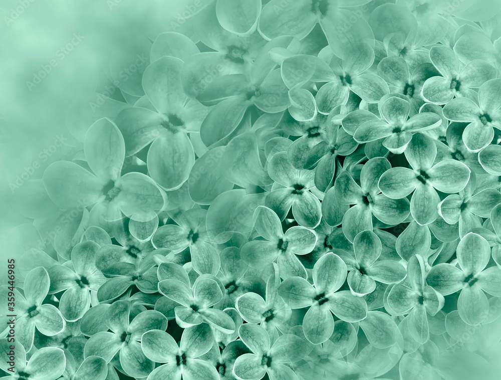 Fototapeta premium Floral green background. A bouquet of lilac flowers. Close-up. floral collage. Flower composition. Nature.