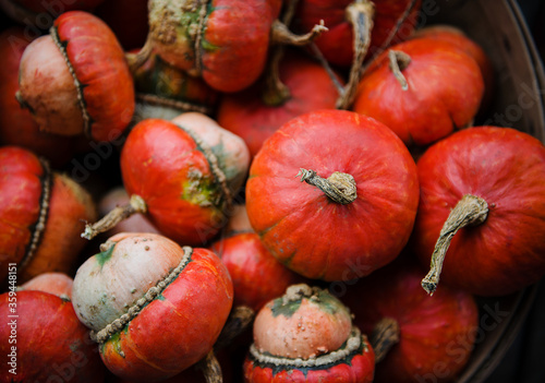 Red Turban Squash for sale at the market photo