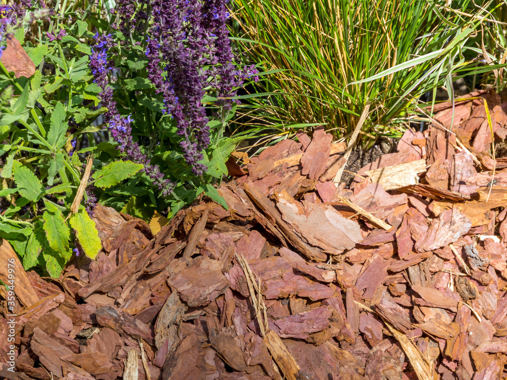 Dumping the edge of the path in the garden with pine bark Dumping the edge of the path in the garden with pine bark