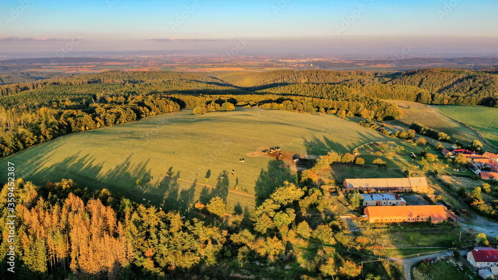 Cow pasture in hilly forested area during sunset, aerial photo, Czech Republic