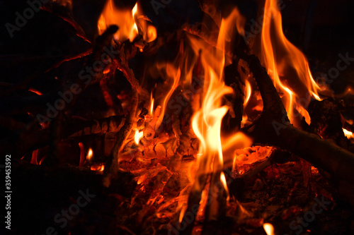fire, flame, fire at night, night flame, fire, picnic, barbecue, cooking on fire, hot branches, bonfire