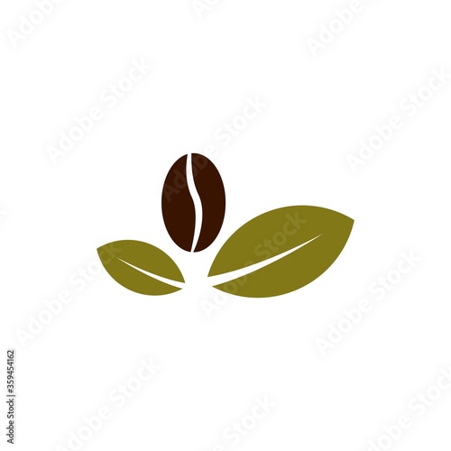 coffee beans plant vector design template illustration