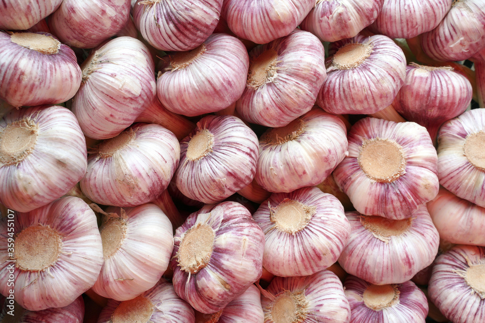 large heads of garlic are arranged in rows large heads of garlic are arranged in rows