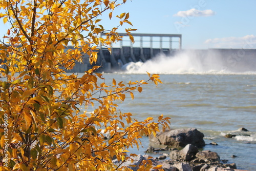Impressive Hydroelectric dam spillway with water spewing and clouds of spray mist over the river, all with the focus on a tree in the foreground wearing it's autumn leaves