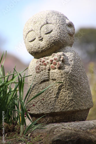 Podobny obraz