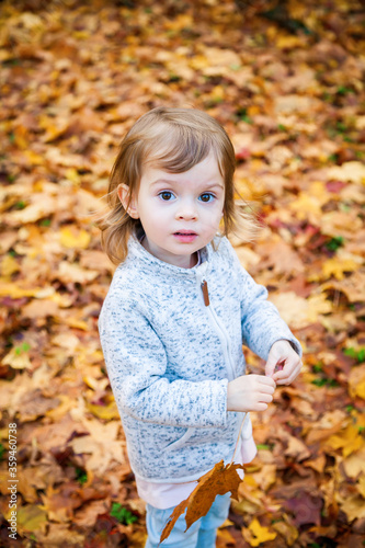 Cute little girl in the autumn park