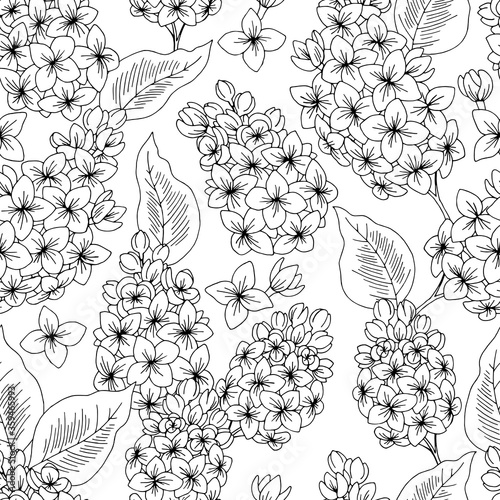 Lilac flower graphic black white seamless pattern background sketch illustration vector