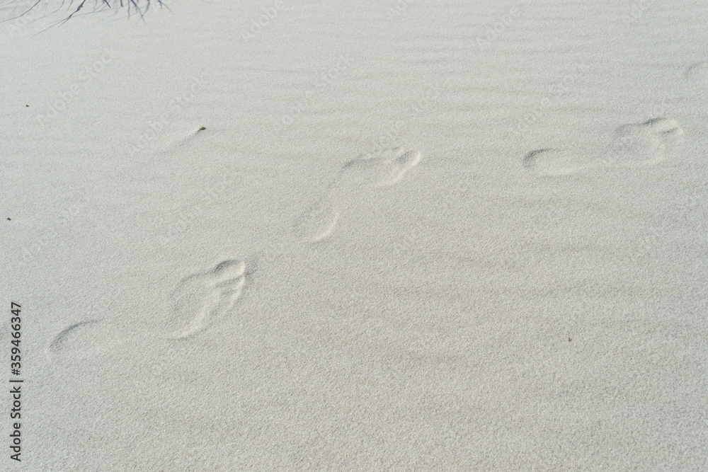Light Sea Sand Texture Pattern, Sandy Beach Background Light Sea Sand Texture Pattern, Sandy Beach Background