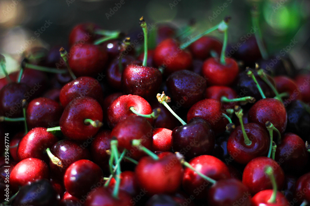 cherries on the market