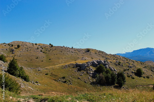 Mountain hill, karst, grass, trees and mountain spikes in distance.. Bjelasnica Mountain.