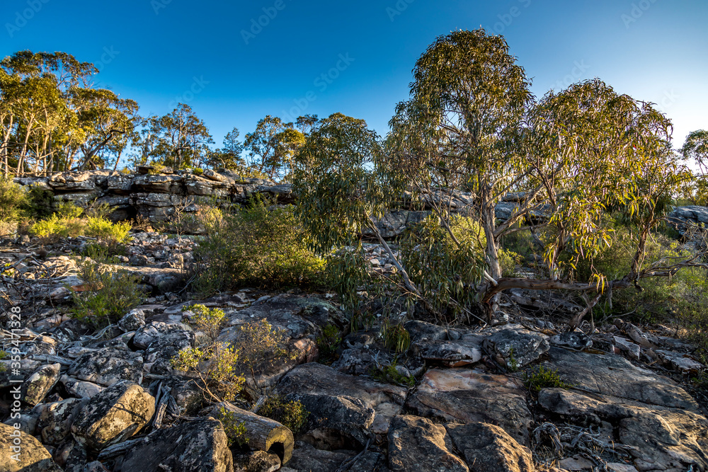 Hiking paths in the Grampians National Park in Victoria, Australia. Hiking paths in the Grampians National Park in Victoria, Australia.