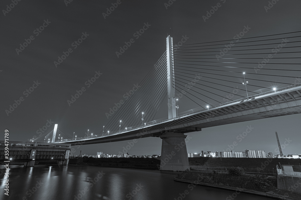 modern bridge, black and white