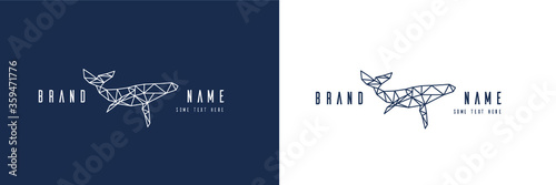 vector illustration of abstract background with lines, whale, fish. Perfect for creating logos, diving school and pool, corporate identity, printing on fabric and posters