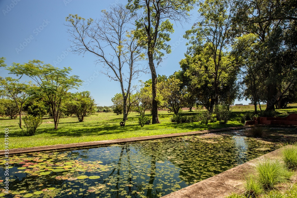 Obraz premium spring in the park