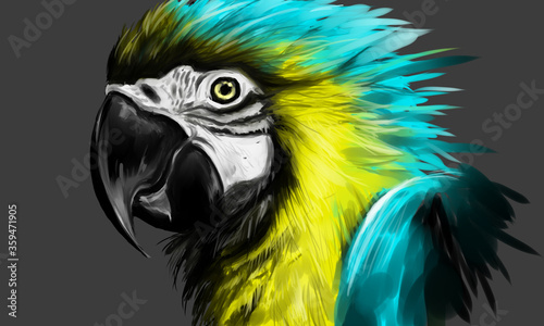 blue and yellow macaw digital painting