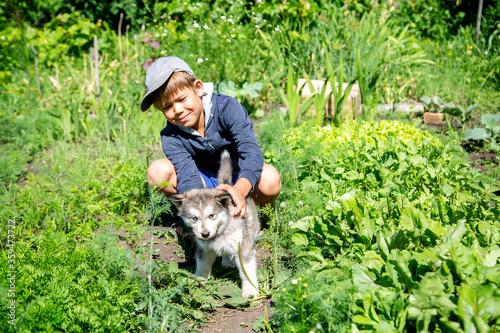 Tableau sur toile happy boy with alaskan malamute puppy in the garden