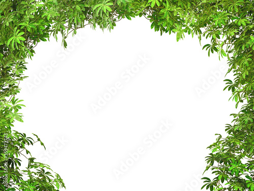Green leaves nature frame border isolated on white background 3d rendering