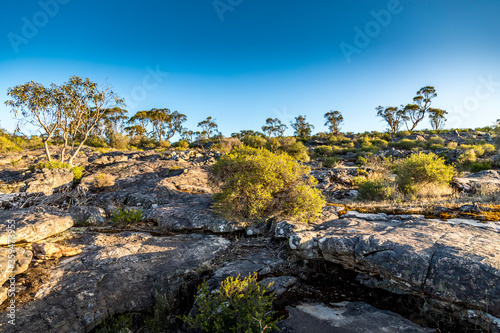 Hiking paths in the Grampians National Park in Victoria  Australia.
