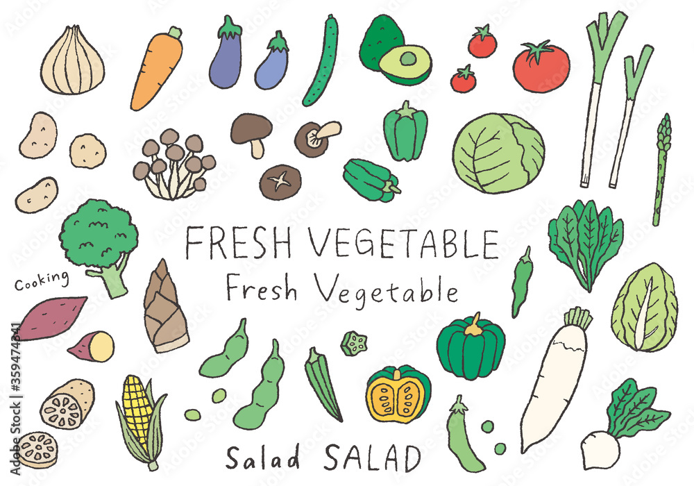 いろんな野菜の手描きイラスト カラー Stock Vector Adobe Stock