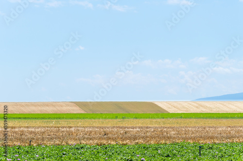 Vertical and horizontal lines in the agricultural landscape  in Spain