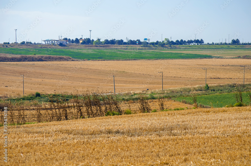 Beautiful landscape. Wheat field. Haystacks. Sunny summer day. Hay bales. Stubble field.  Big yellow field after harvesting. Selective focus.