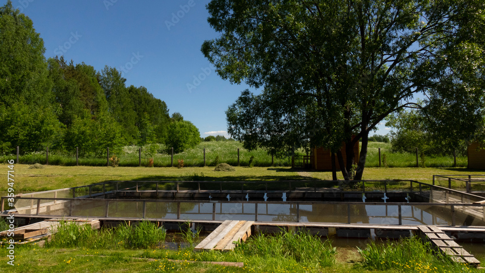 Fish farm in the pond. Aquaculture in the open air. Fish farm in the pond. Aquaculture in the open air.