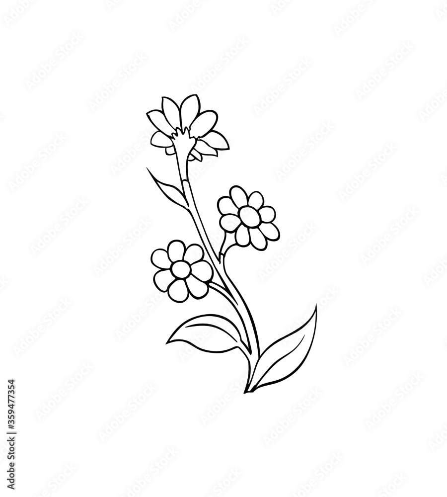Plakat Cute blooming flowers. Chamomile plant. Isolated on white background. Vector illustration.