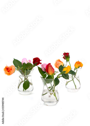 Wallpaper Mural Minimalist composition of multicolored roses in glass vases on white background. Holiday Greeting Card. Copy space Torontodigital.ca