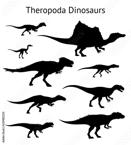 Silhouettes of theropoda dinosaurs. Set. Side view. Monochrome vector illustration of black silhouettes of dinosaurs isolated on white background. Theropods. Proportional dimensions.