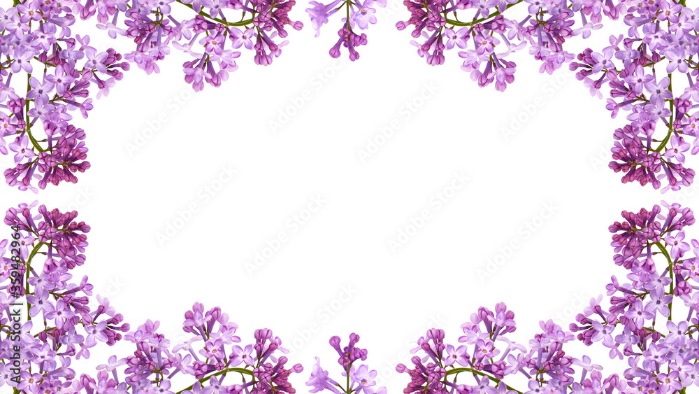 Purple lilac flowers frame isolated on white Purple lilac flowers frame isolated on white