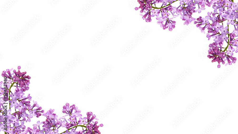 Purple lilac flowers frame isolated on white Purple lilac flowers frame isolated on white