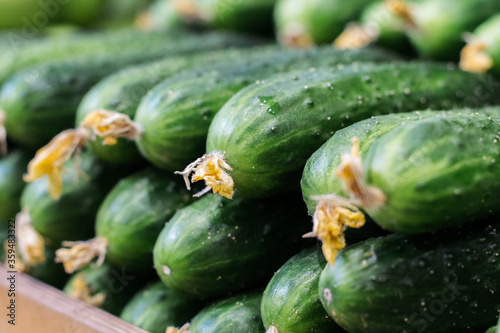 Close-up side view of cucumbers on supermarket shelf. Green agricultural vegetables lying in grocery. Vegan food, healthy eating, assortment, nutrition.