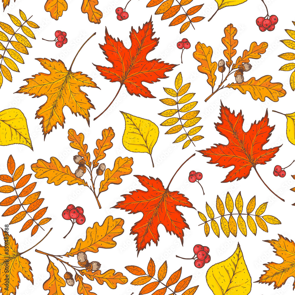 Fototapeta premium Autumn leaves seamless pattern. Fall background. Hand drawn design. Vector illustration