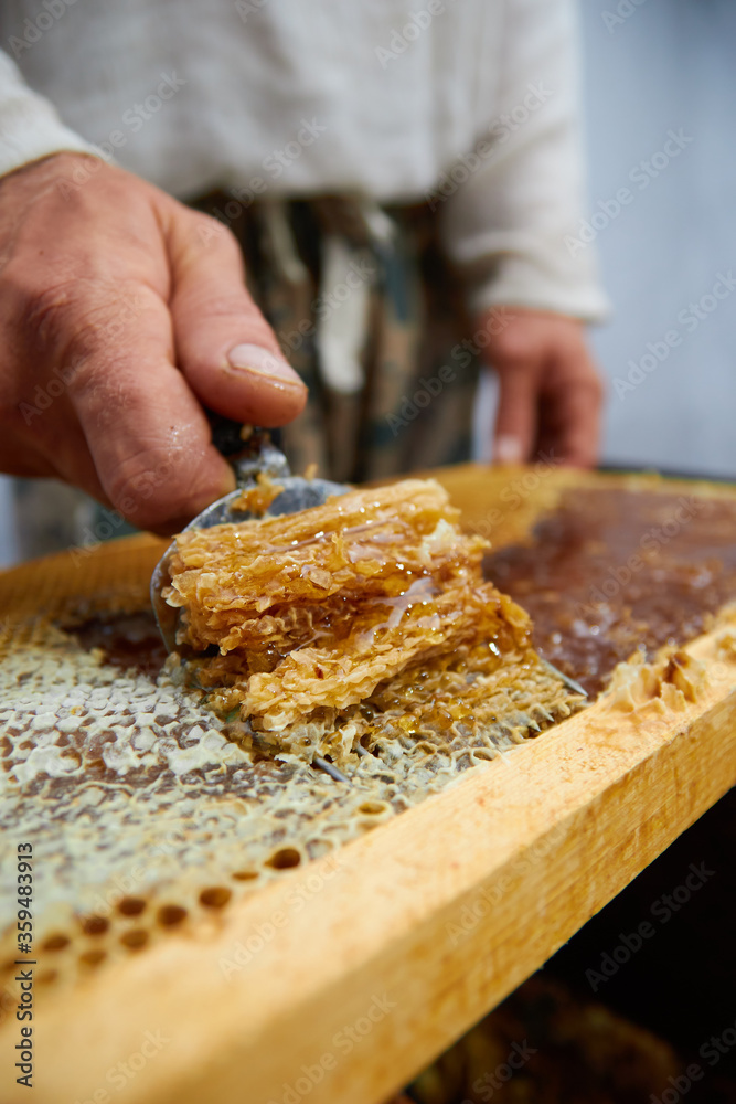 pumping and collecting honey in an apiary in a mechanical honey extractor