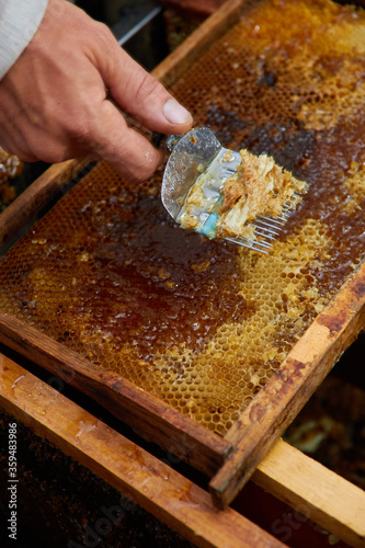 pumping and collecting honey in an apiary in a mechanical honey extractor