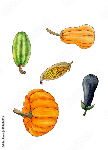 watercolor set of autumn vegetables