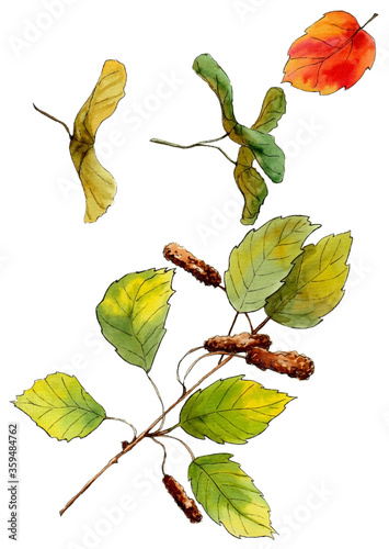 watercolor set of autumn leaves