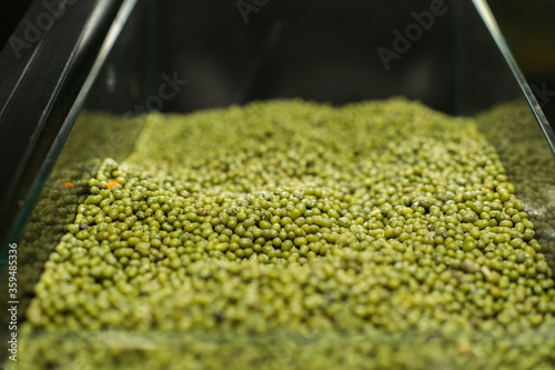 Green lentils on shelf in grocery shop. Edible legume beans in supermarket. Uncooked ingredients, dieting, vegetarianism, protein food.