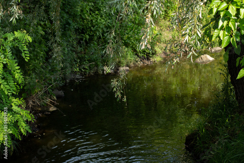 small river in the park with trees