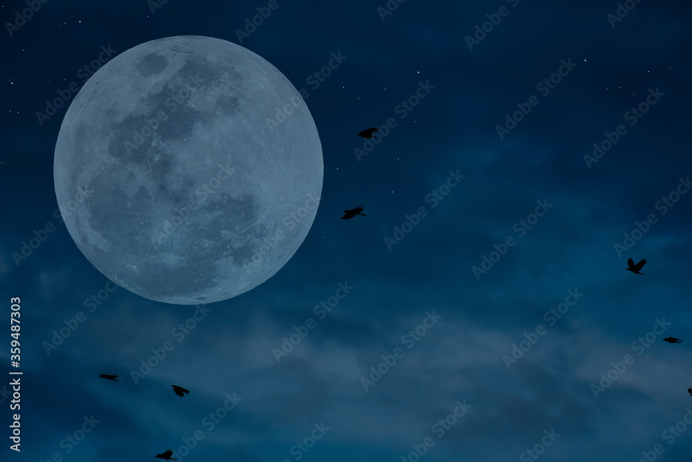 Full moon on the sky with silhouette birds.